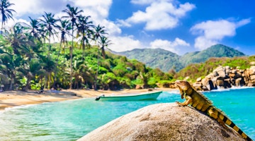 Best Time to Visit Colombia