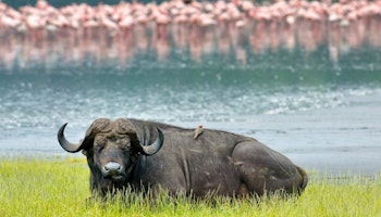 Discover Kenya's Highlights - Small Group Tour