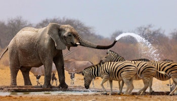 Discover Namibia Lodge-Based Small Group Tour