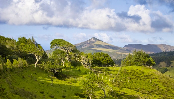 Discover Saint Helena image 1