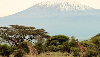 Kenya & Zanzibar Eco-safari