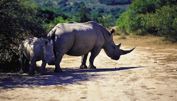 KwaZulu-Natal Action-Packed Family Holiday
