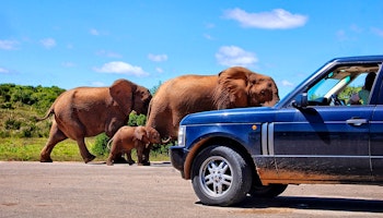 Pocket-size Northern Namibia Self-Drive