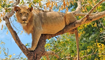 Highlights of Tanzania Small Group Tour