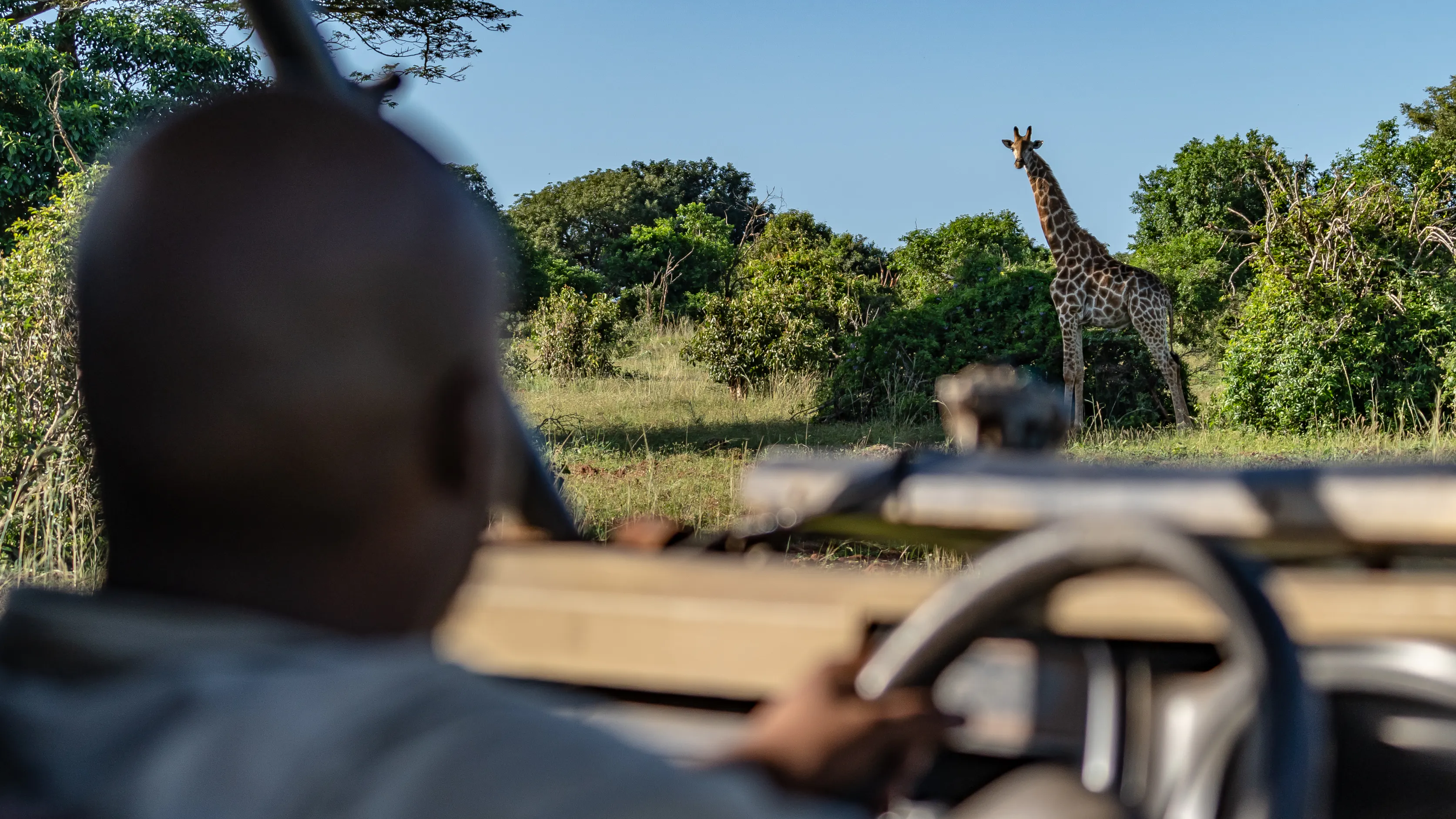 Small Group Tours