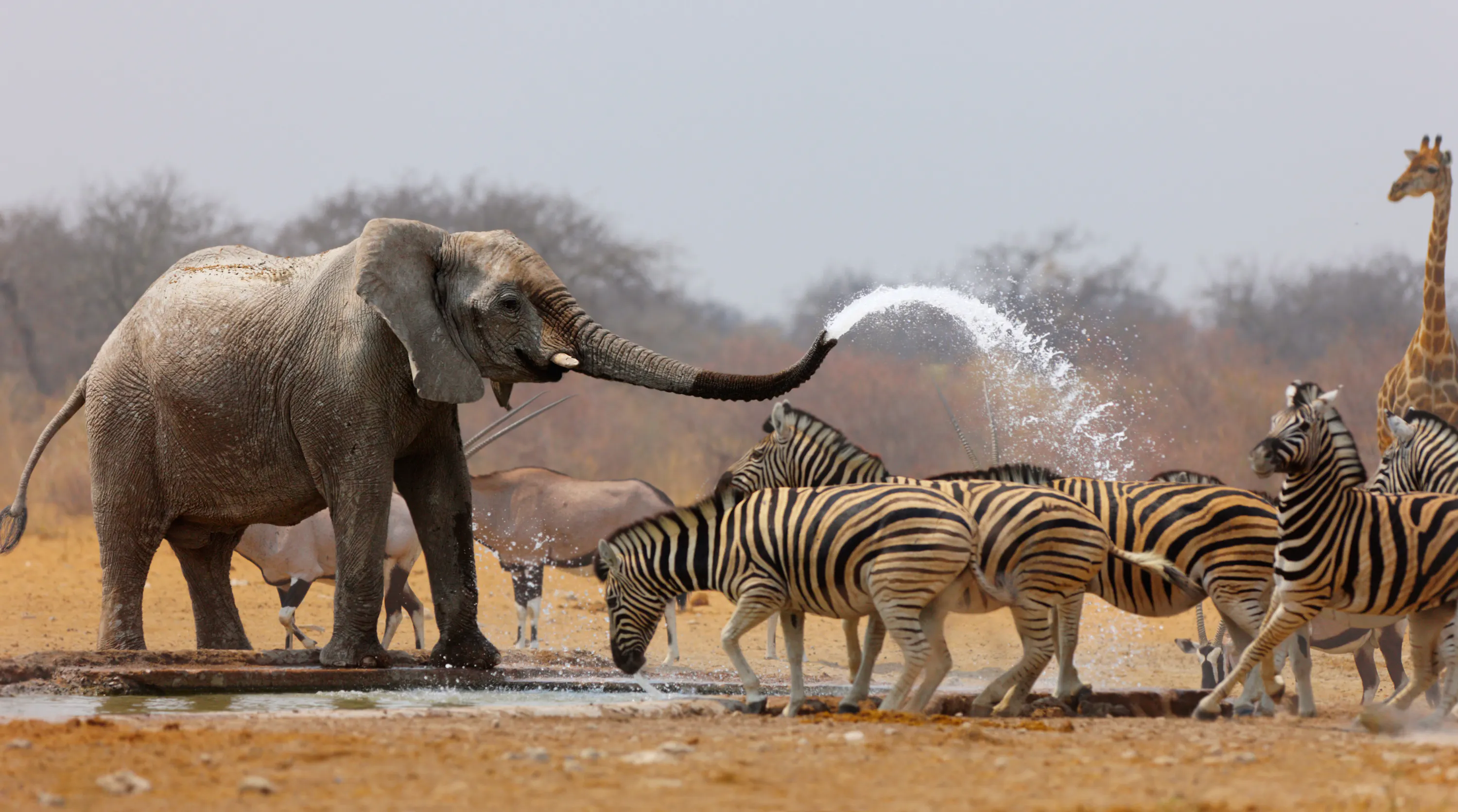 Africa Holidays
