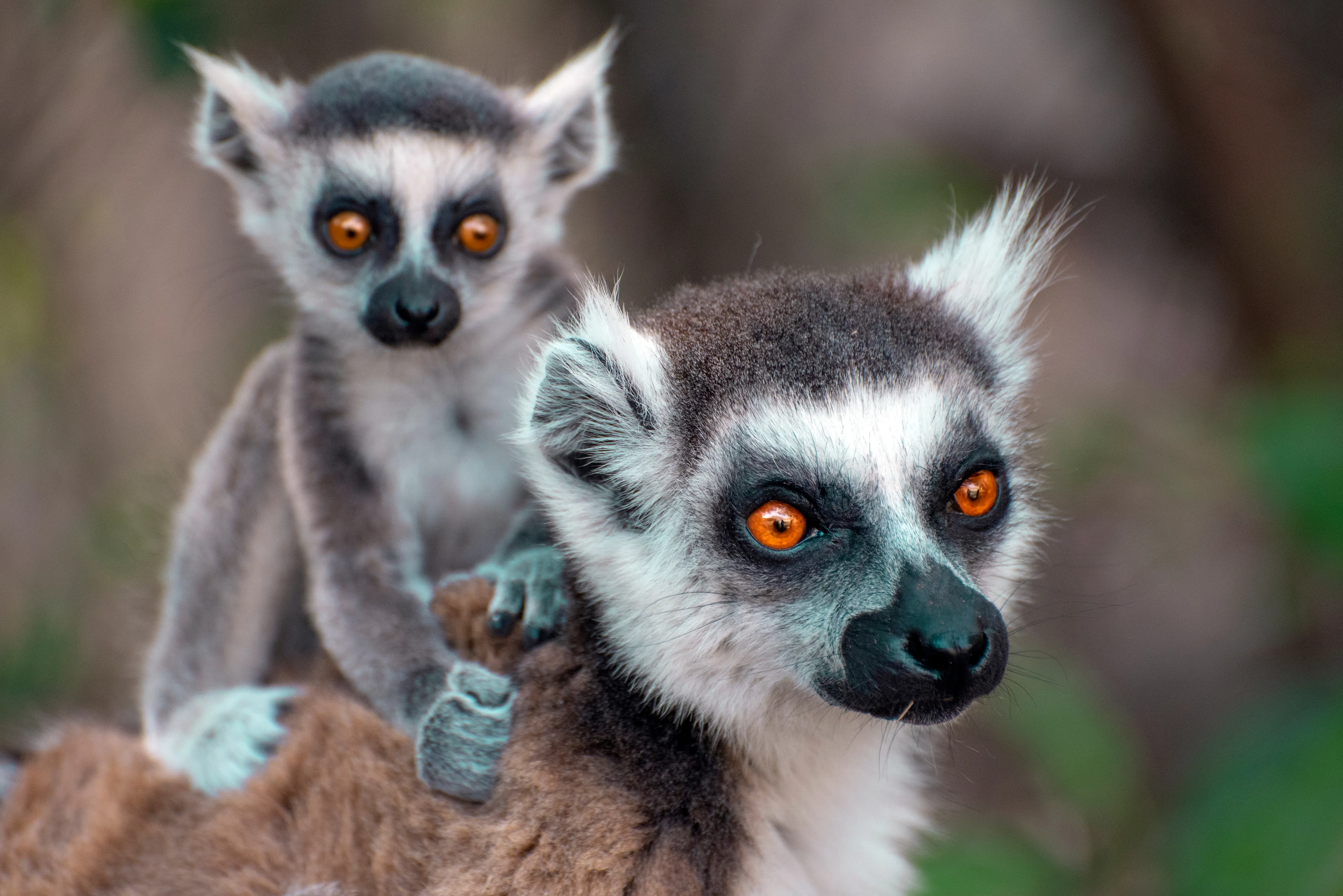 Madagascar Holidays