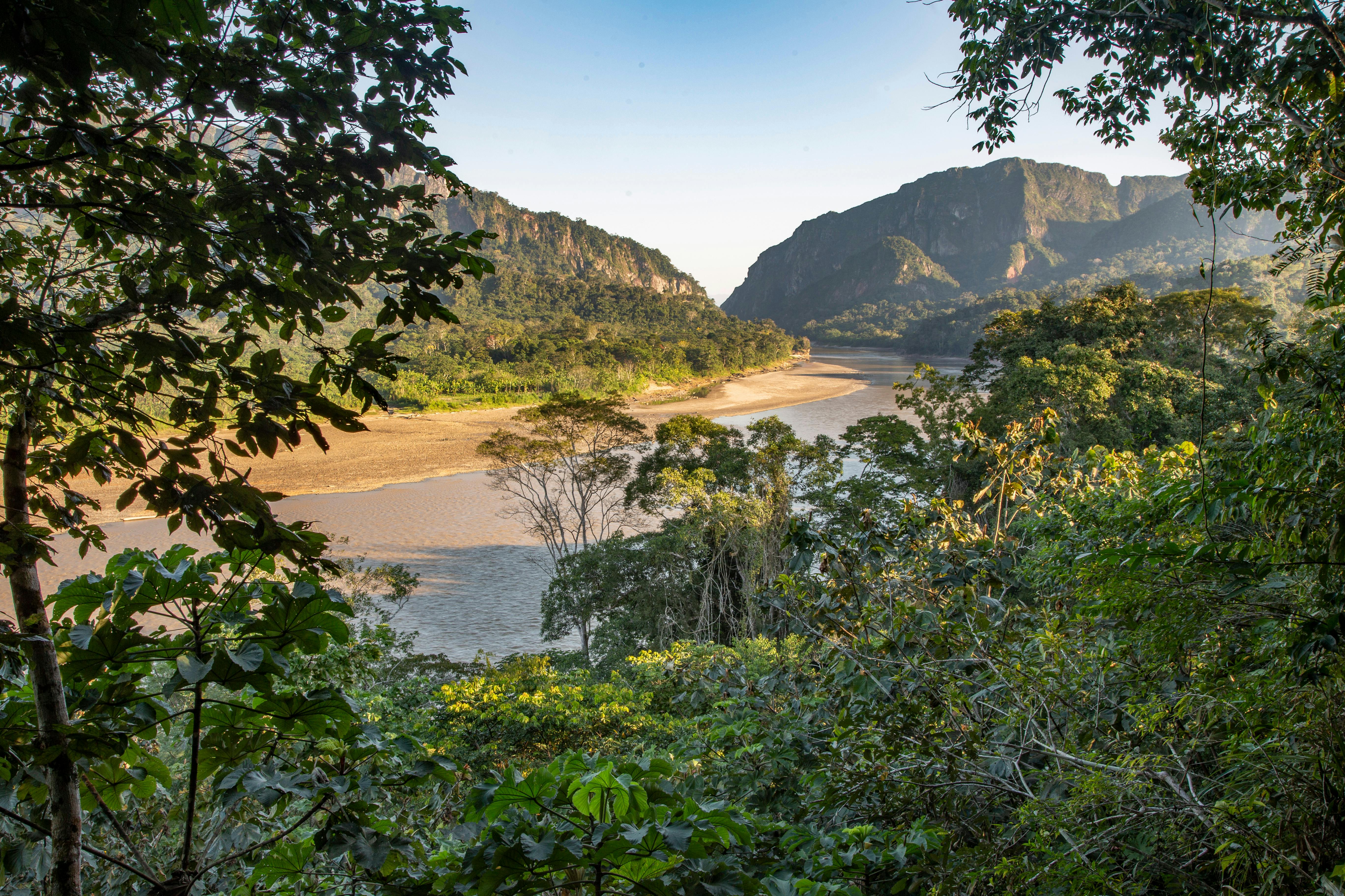 Madidi National Park