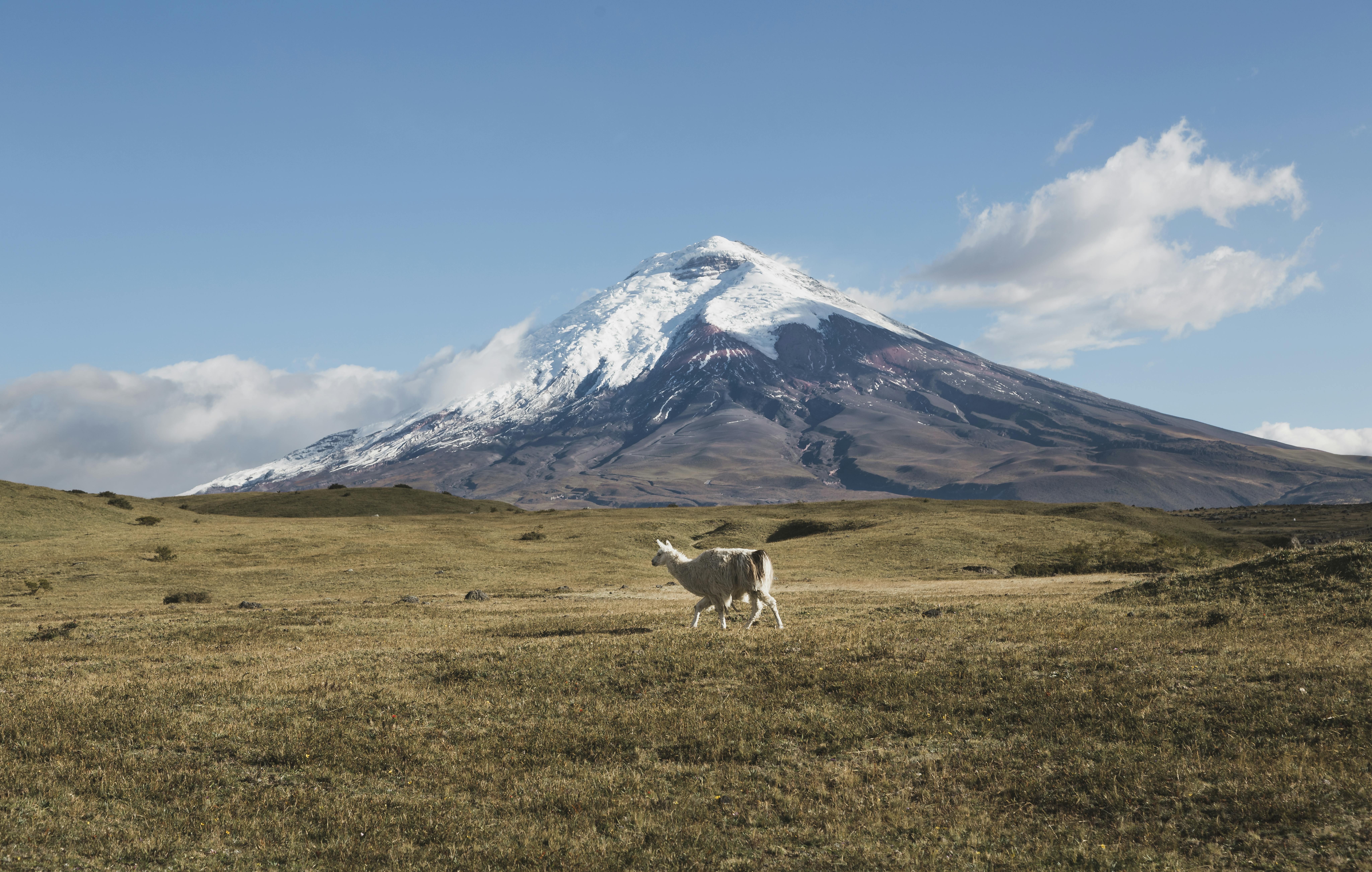 Avenue of the Volcanoes
