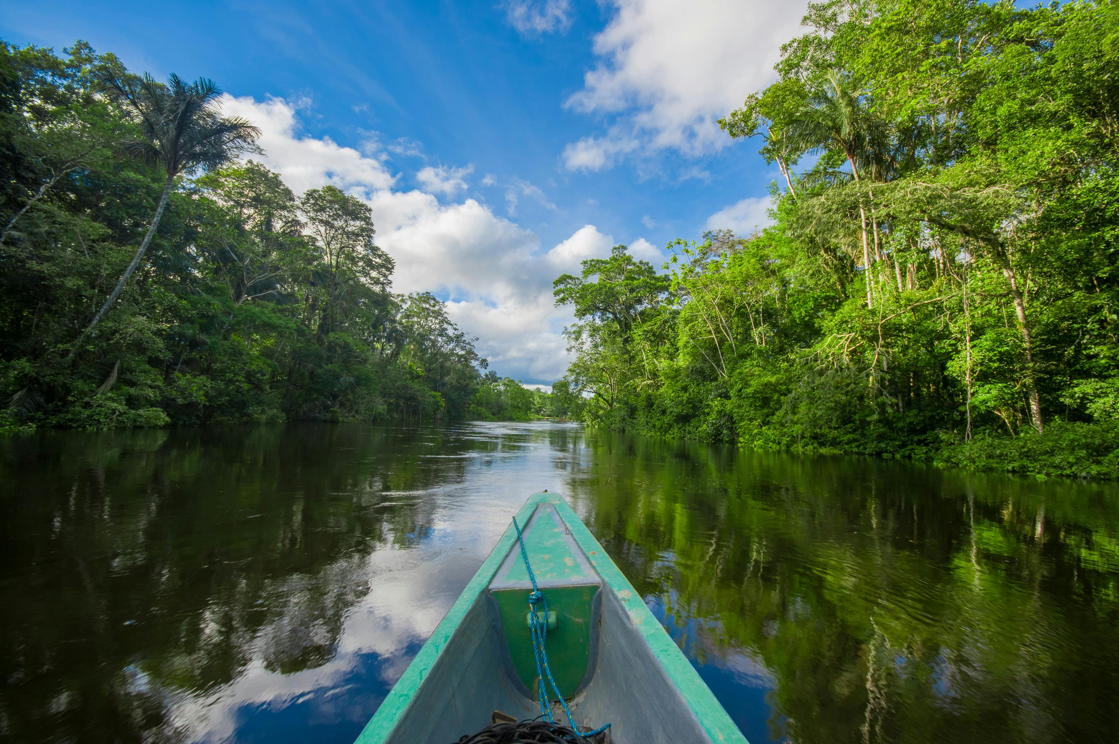 Ecuador's Amazon Rainforest