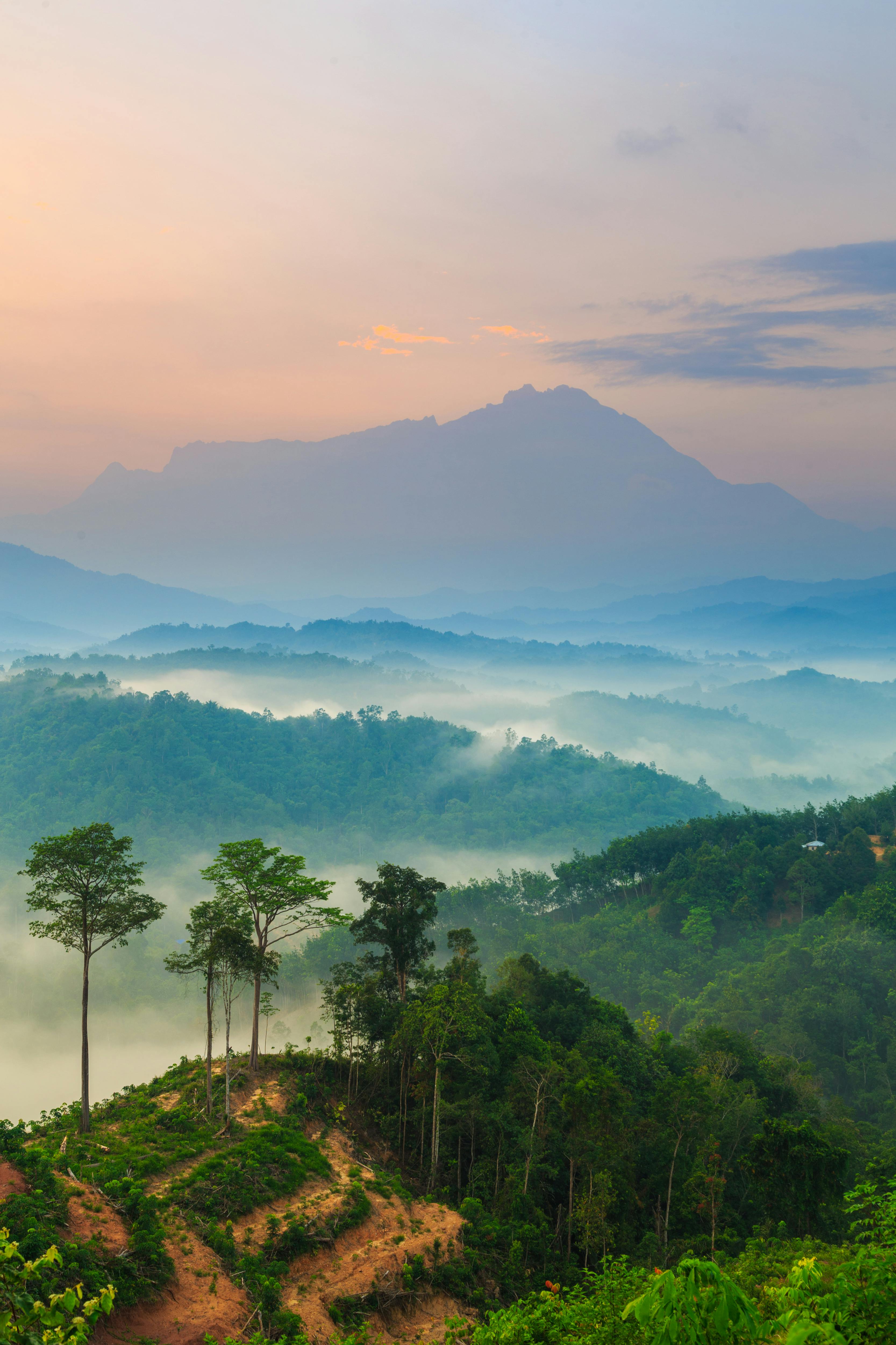 Kinabalu National Park