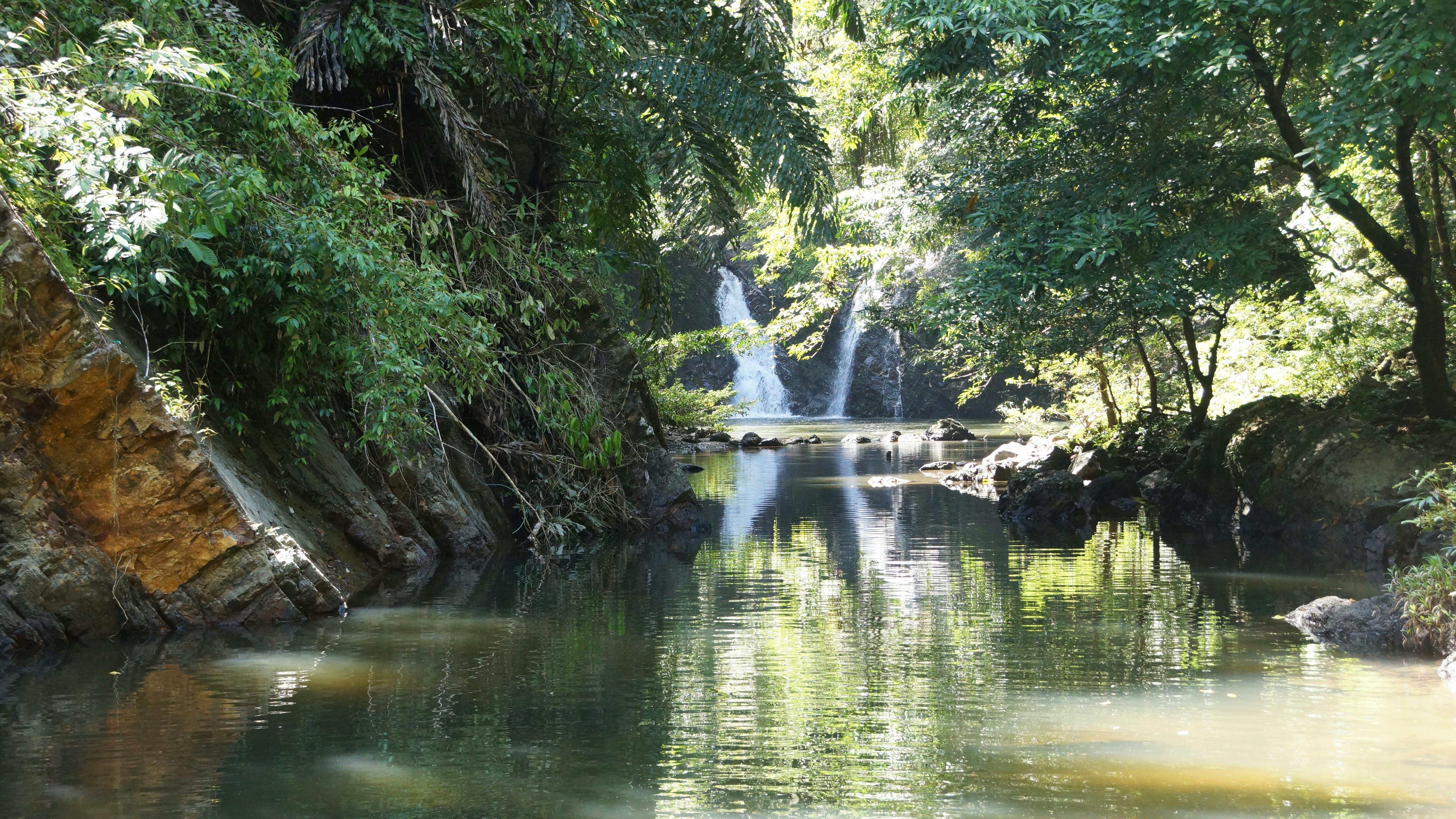 Tabin Wildlife Reserve