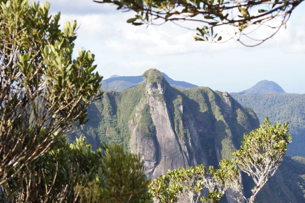 Marojejy National Park