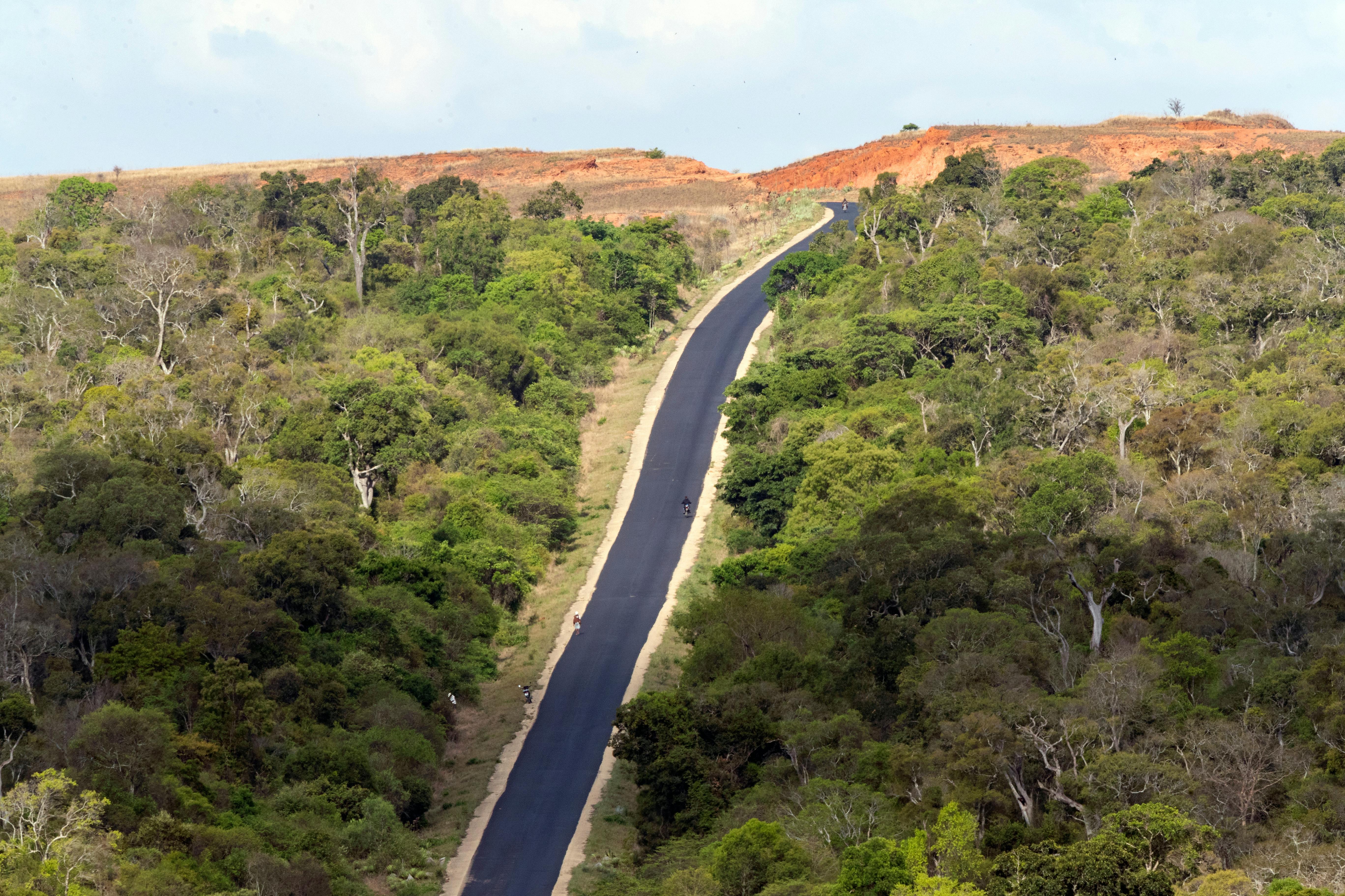 Zombitse-Vohibasia Forest National Park