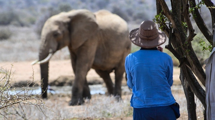 Elephant, Tumaren Camp, Laikipia, Kenya