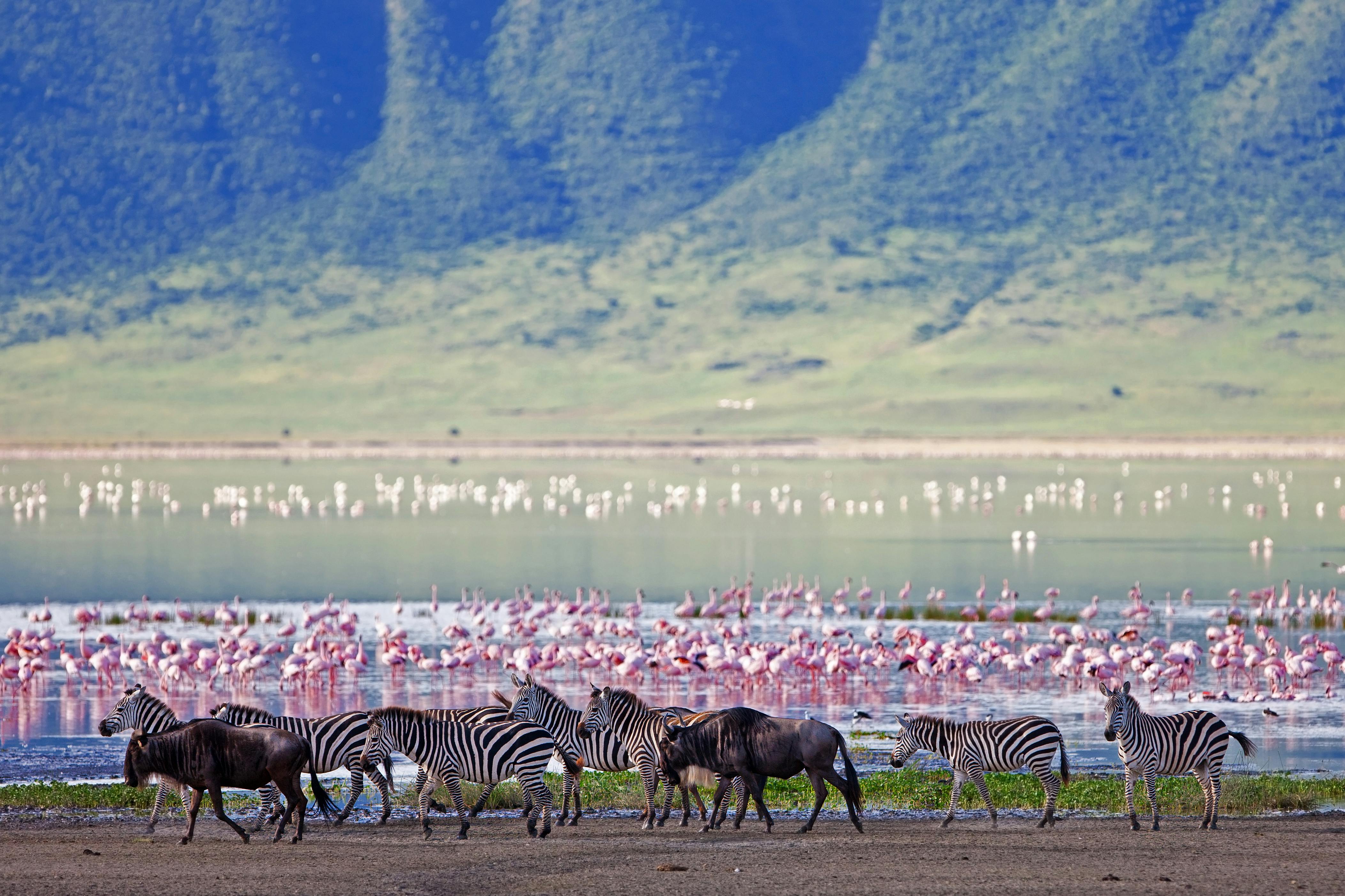 Ngorongoro Crater