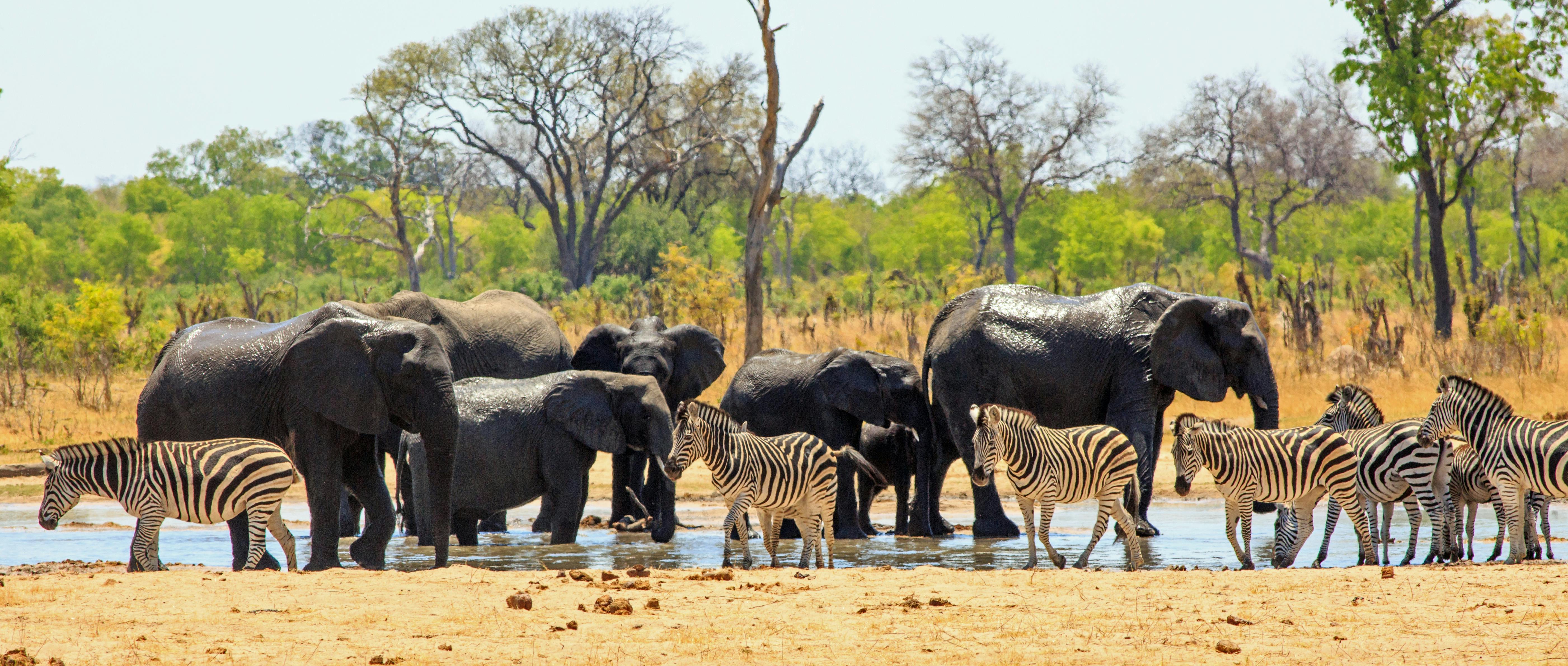Hwange National Park