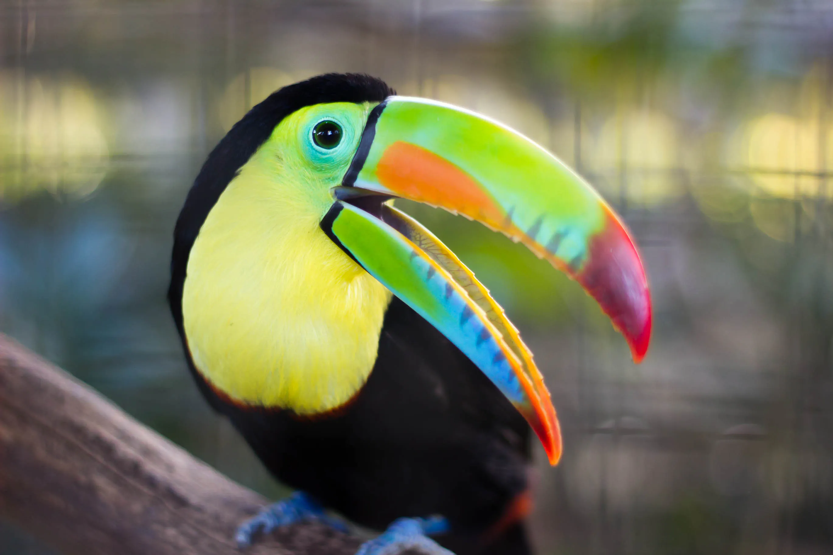 Latin America Holidays