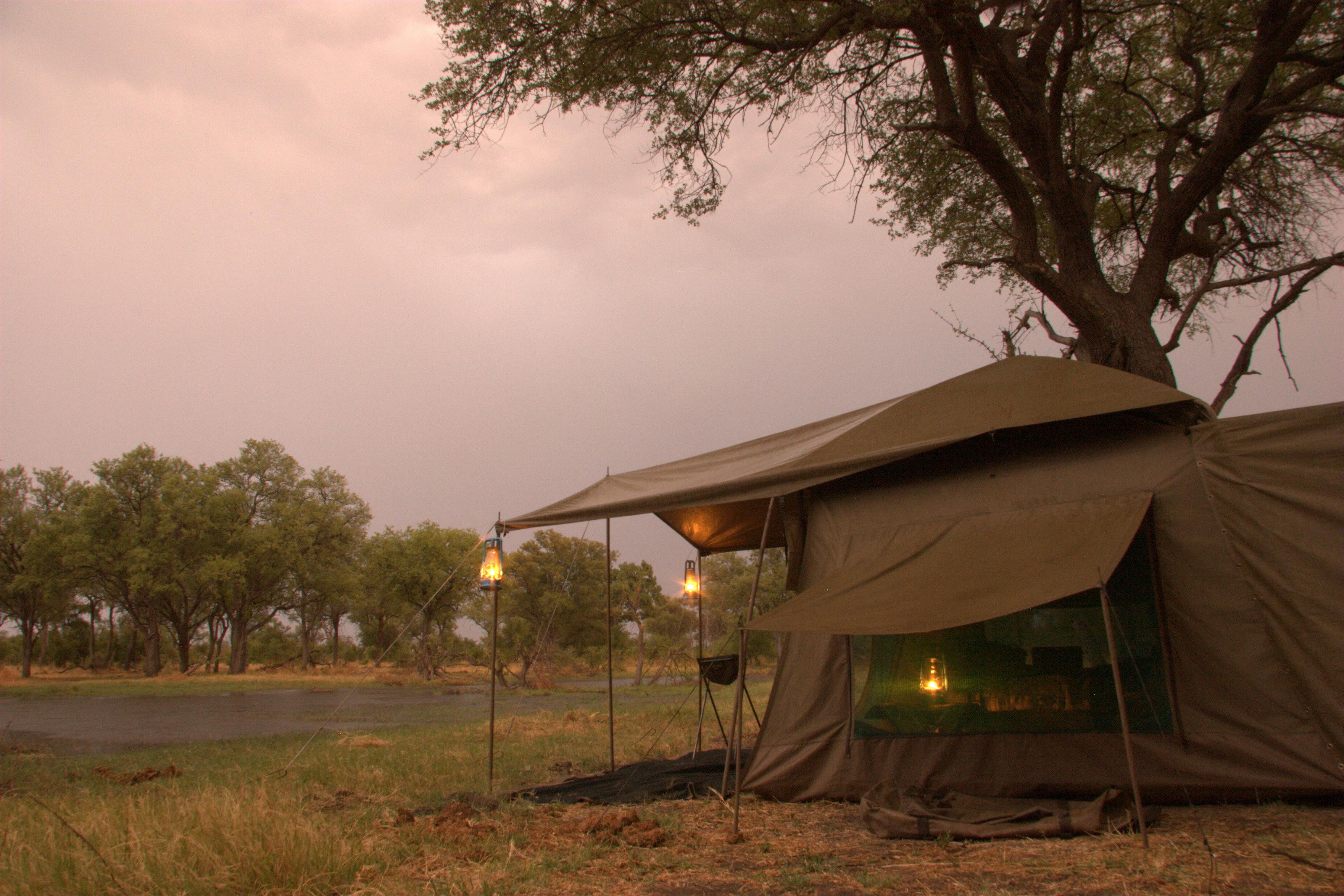 | Moremi Game Reserve