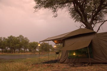 | Moremi Game Reserve