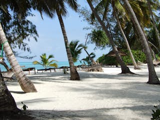 Zanzibar Beach 