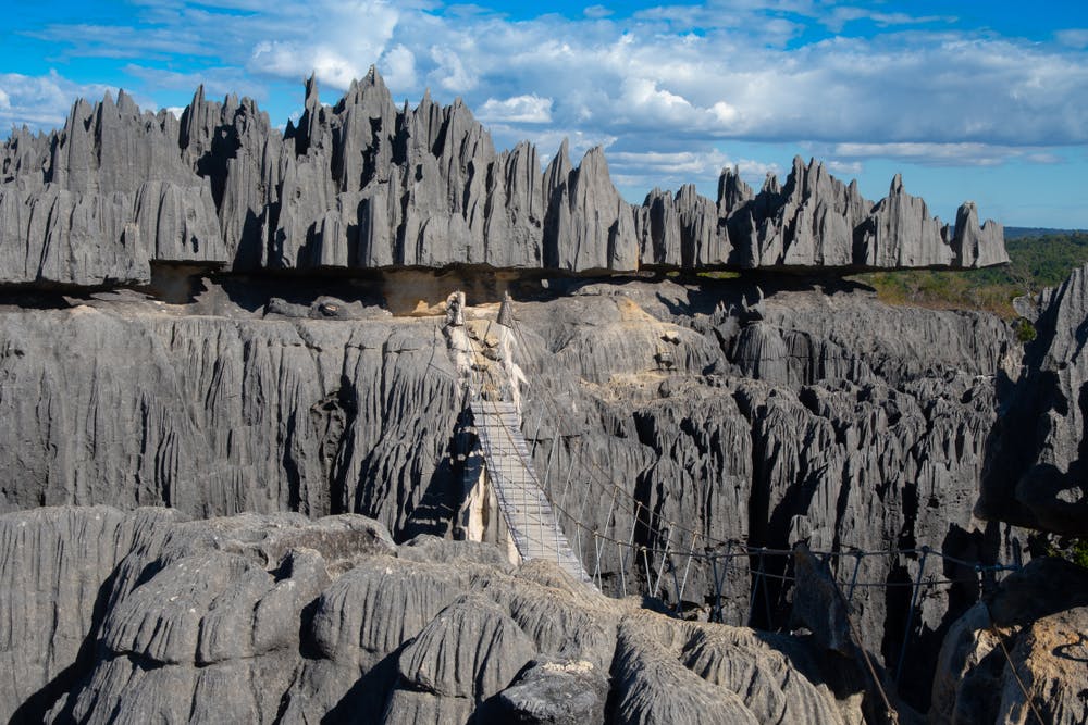 Western Madagascar Explorer: Baobabs, Tsingy & Wildlife image 1