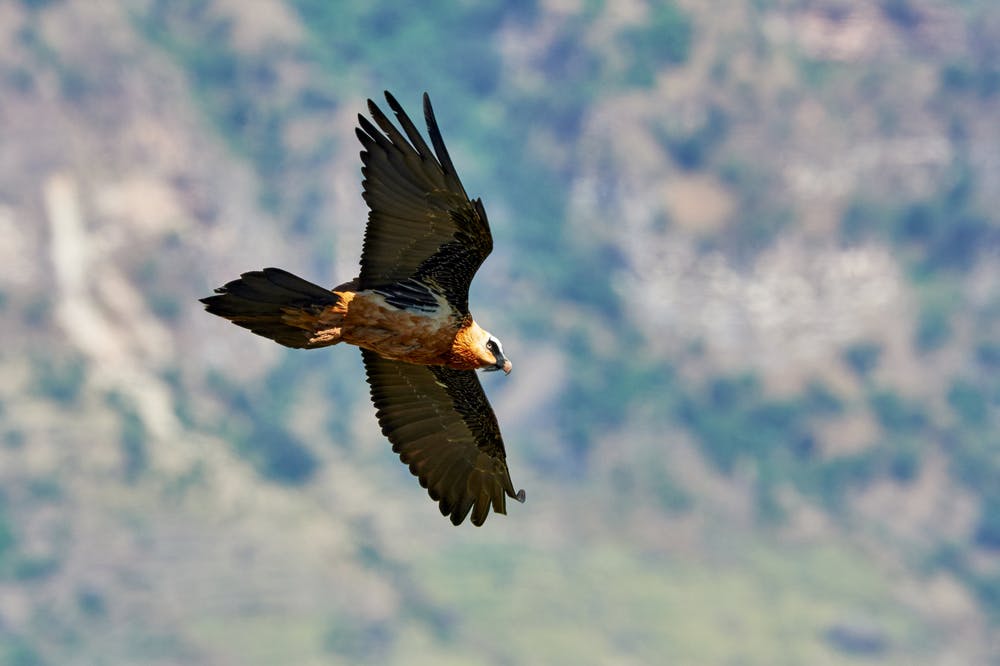 Yemrehane Kristos, Lalibela