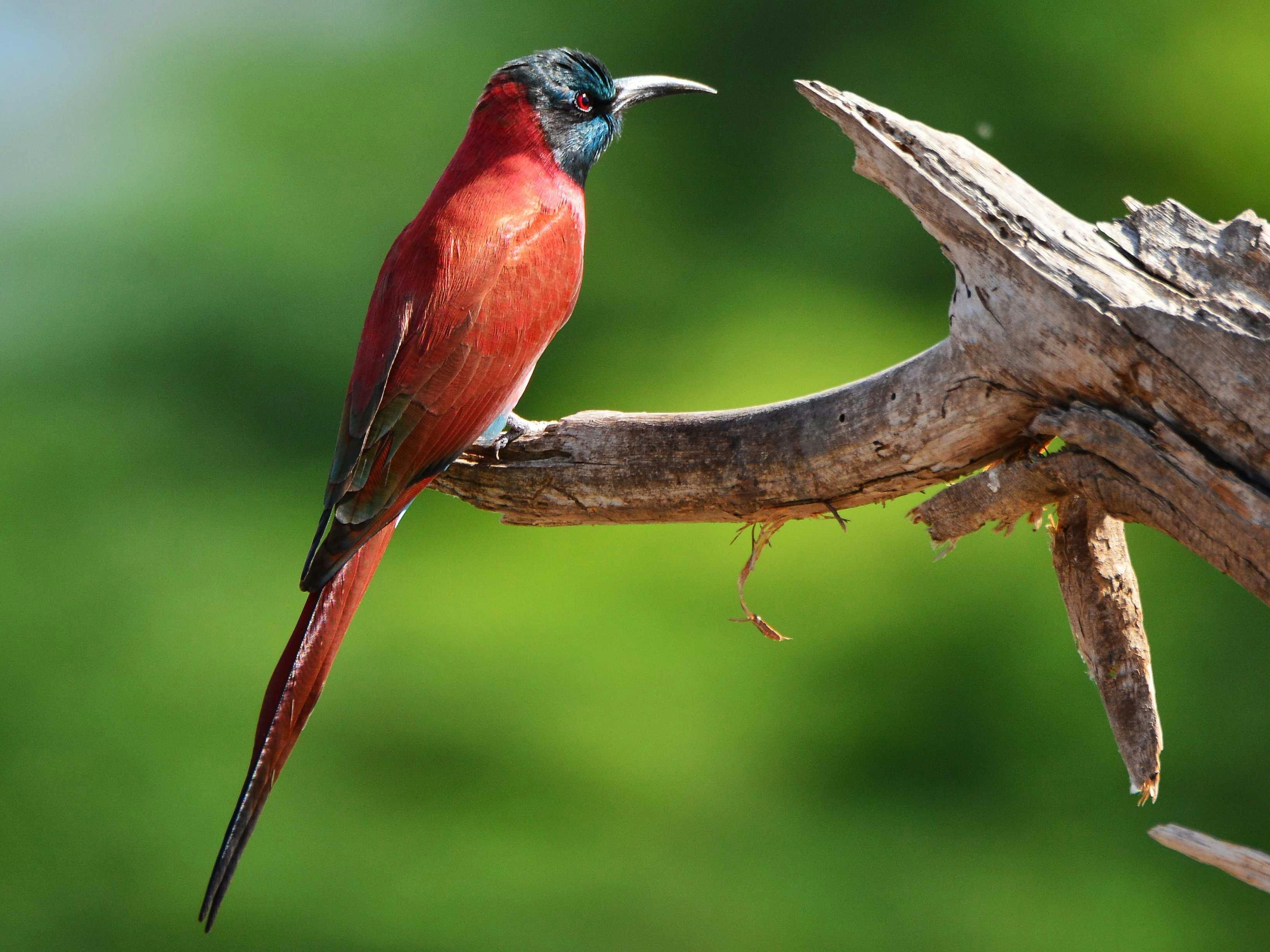 Turmi - Jinka (drive) and fly to Addis Ababa