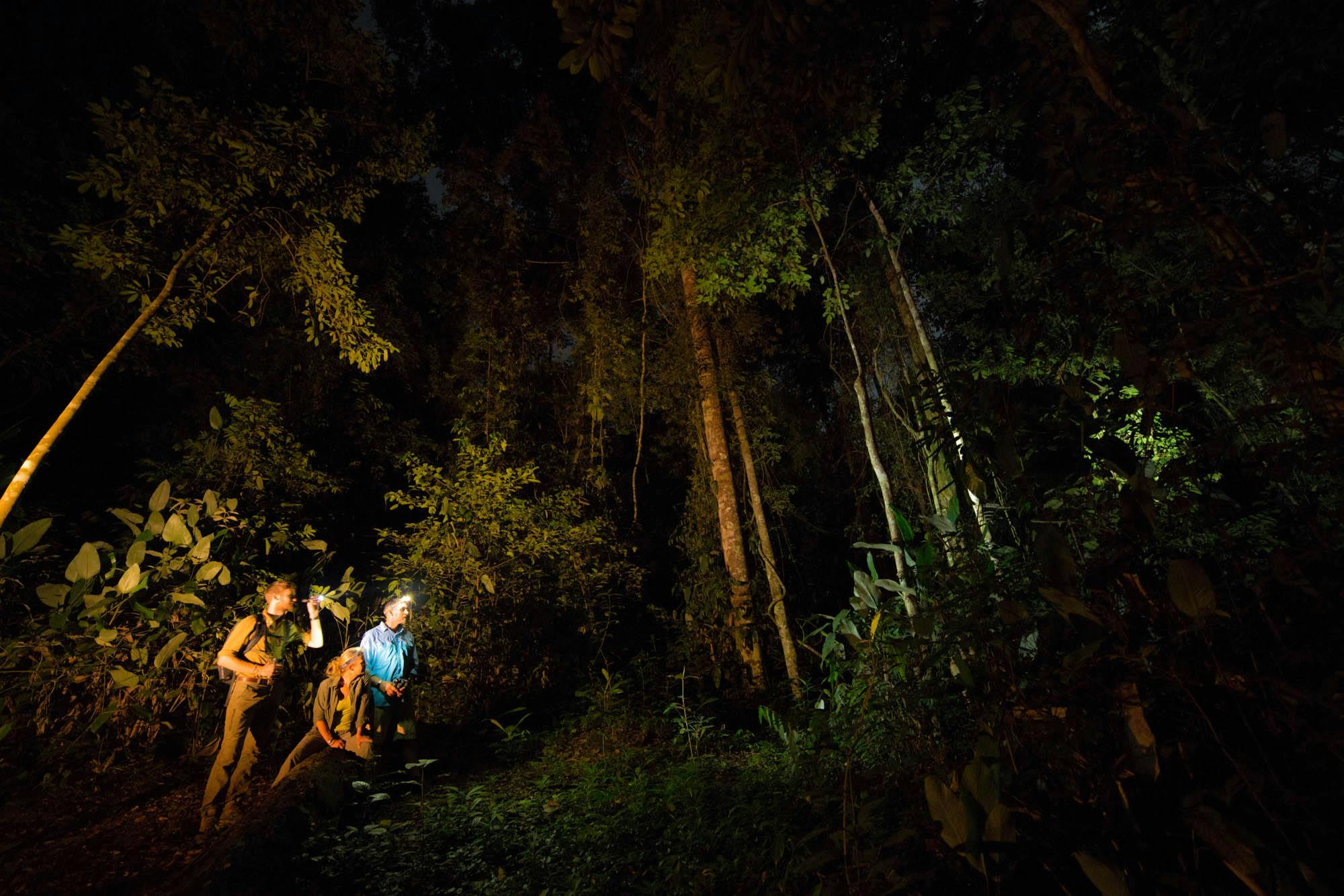 Wednesday: Lango Camp - Mboko Camp