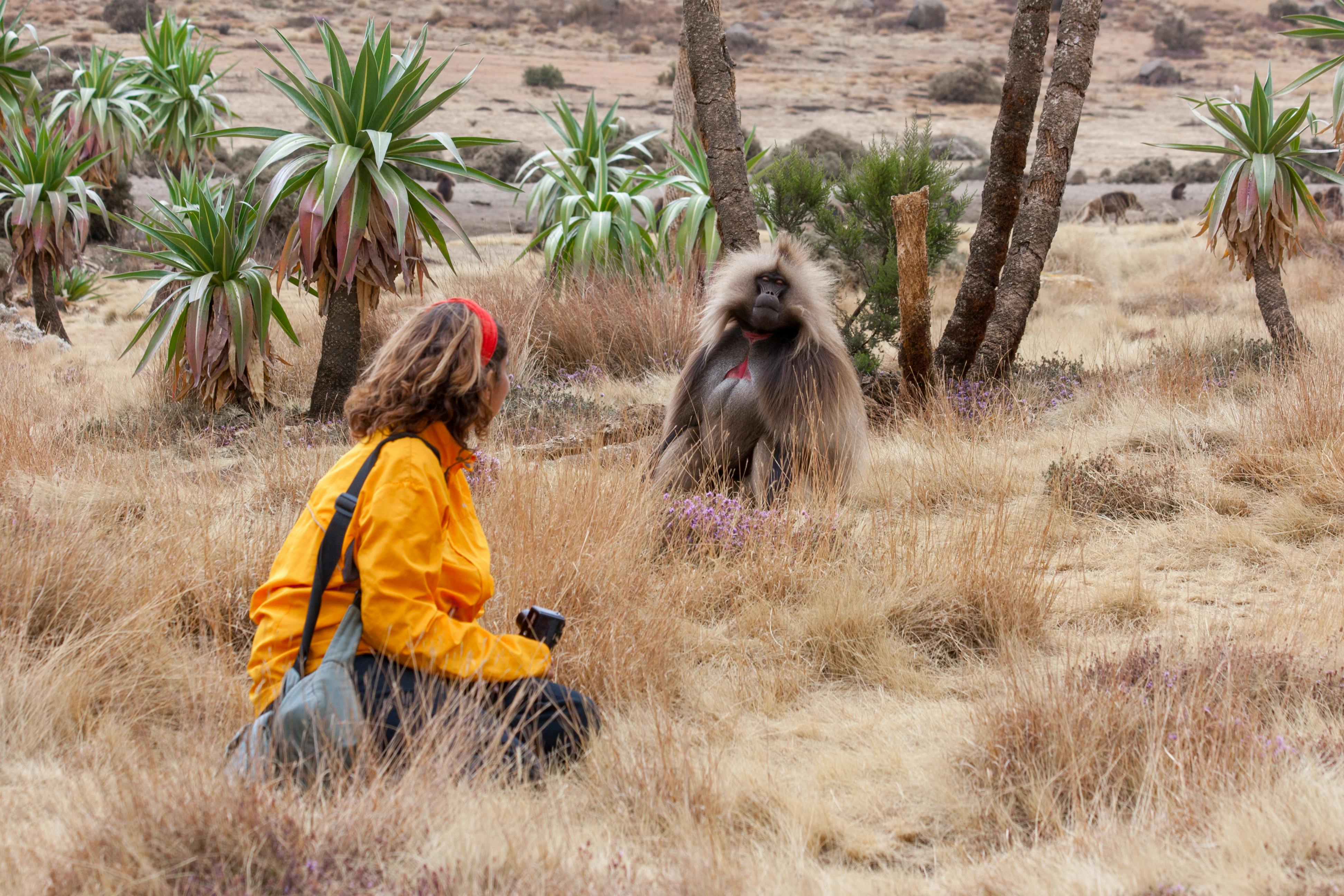 Bahir Dar to Simien Mountains National Park