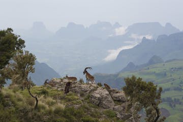 Simien Mountains National Park