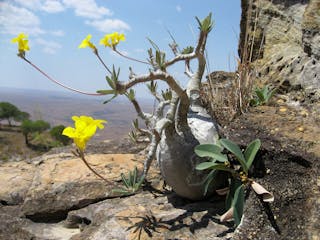 9 - Isalo National Park