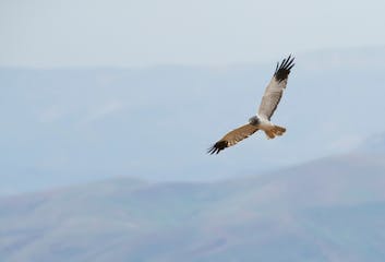 15 - Antsirabe - Antananarivo