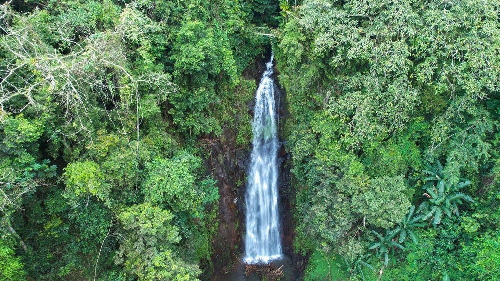 | Monte Café & São Nicolau Waterfall