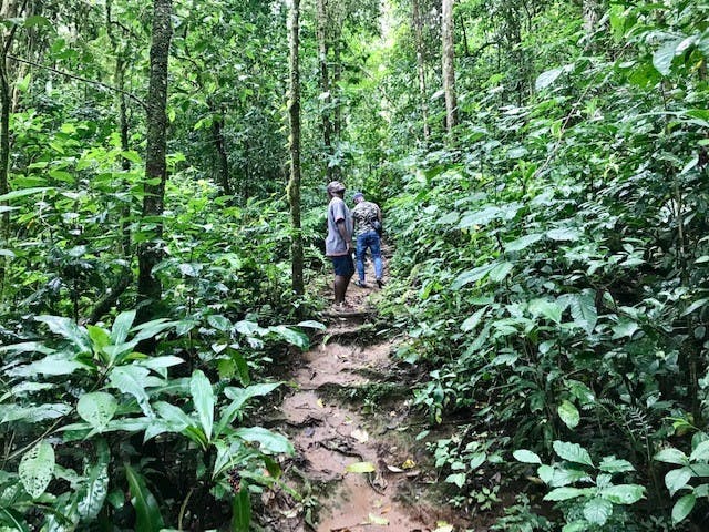 | Obô Natural Park Biodiversity Trail