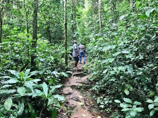 | Obô Natural Park Biodiversity Trail