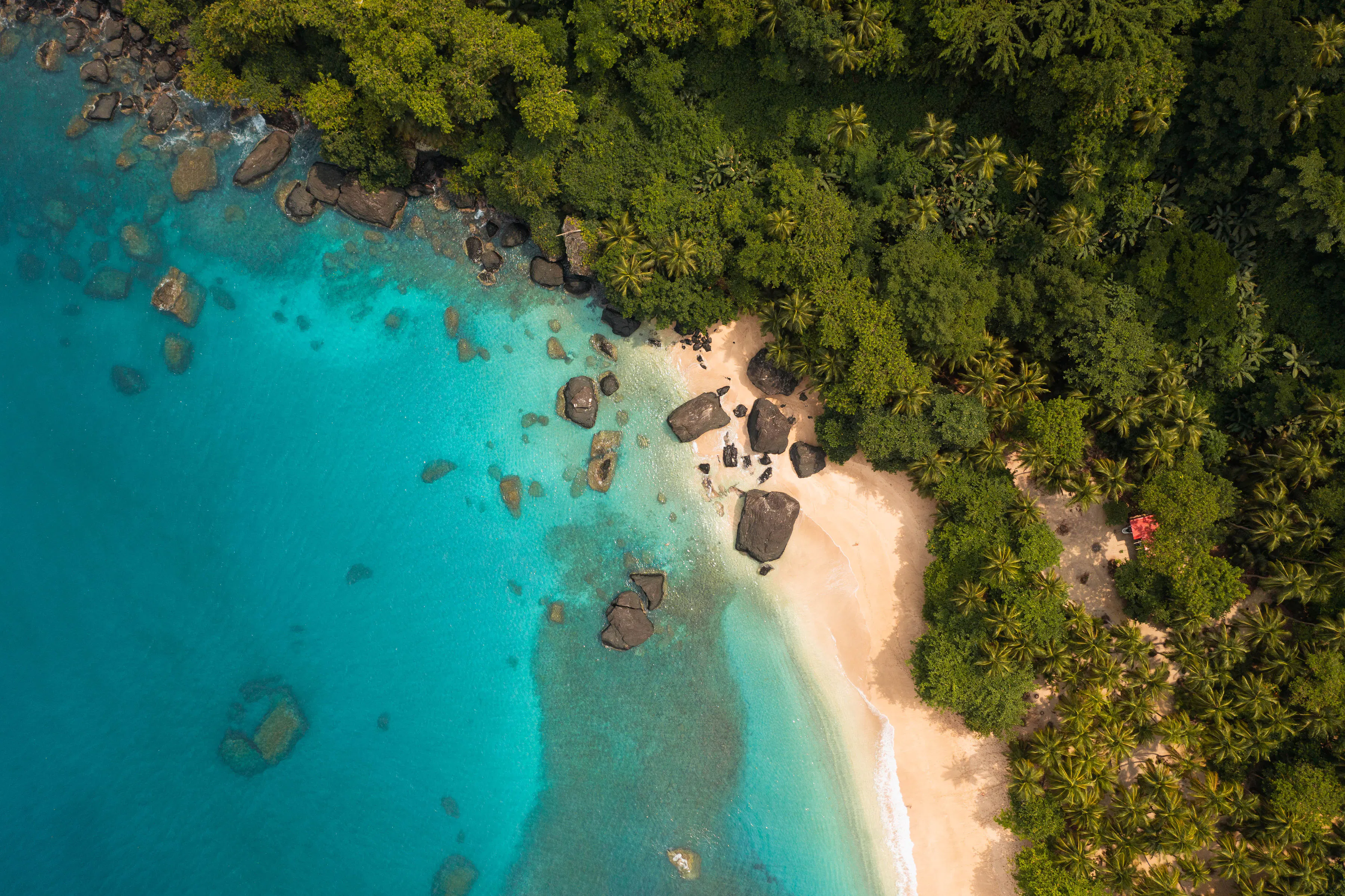 | Fly São Tomé to Príncipe
