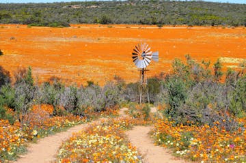 05 September 2027: Springbok to Niewoudtville