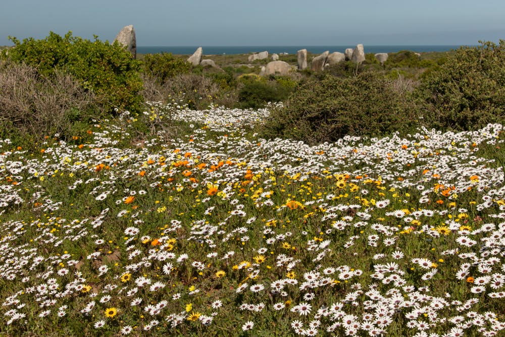 08 September 2027: Langebaan - Cape Town