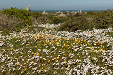 08 September 2027: Langebaan - Cape Town