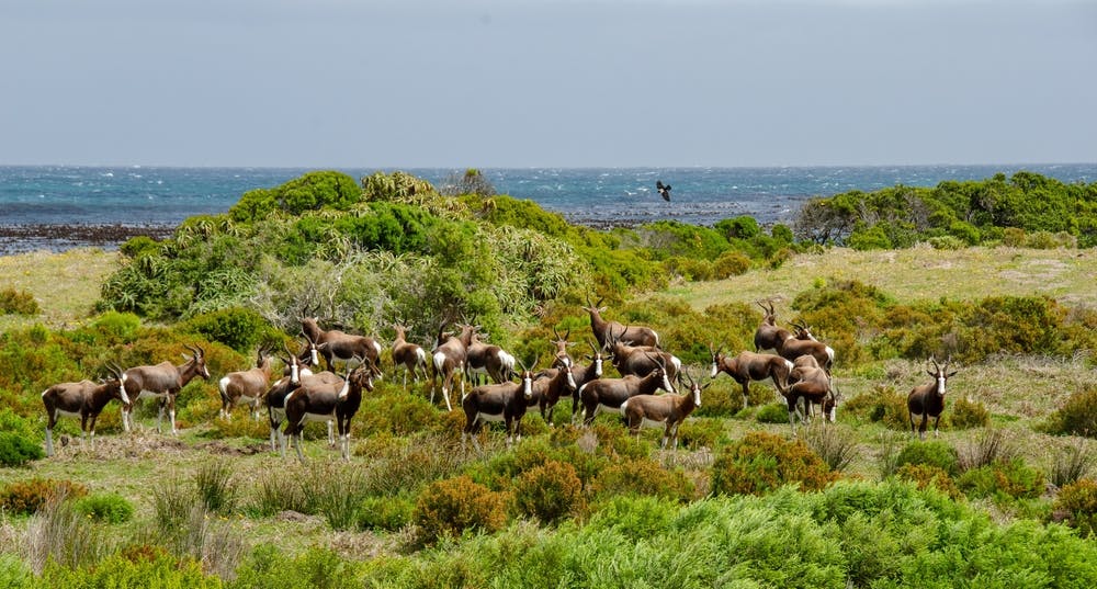 09 September 2027: Cape Town & environs