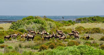 09 September 2027: Cape Town & environs