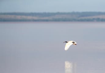 Mahajanga - Antananarivo (flight)