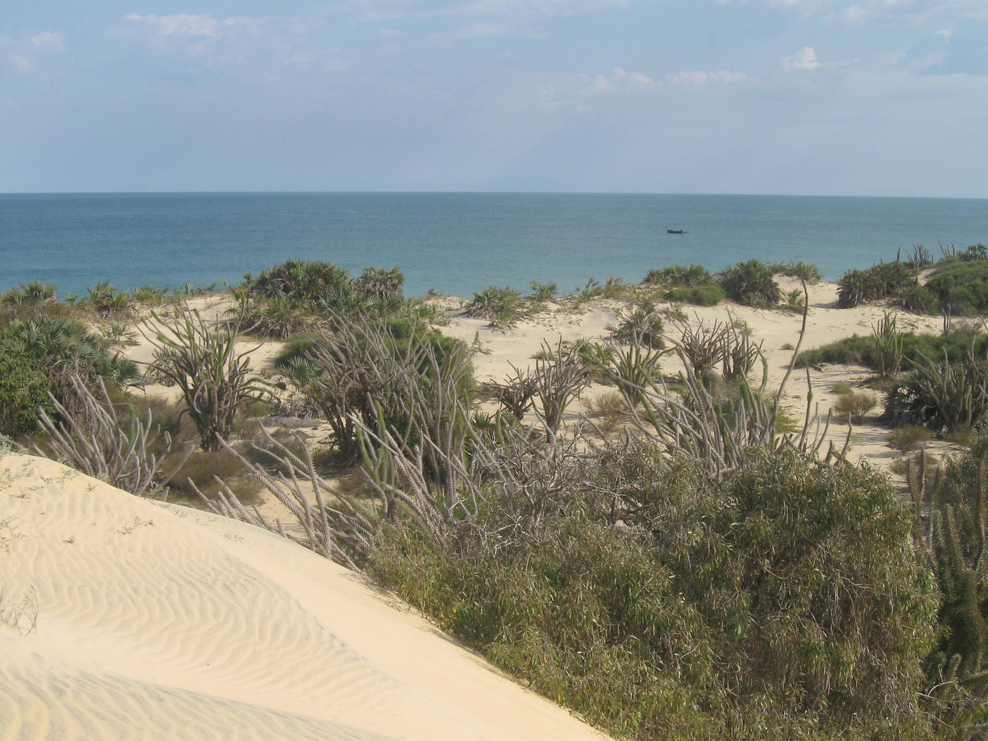 Snorkelling around Nosy Andravoho
