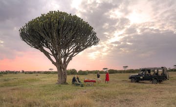Safari in Masai Mara