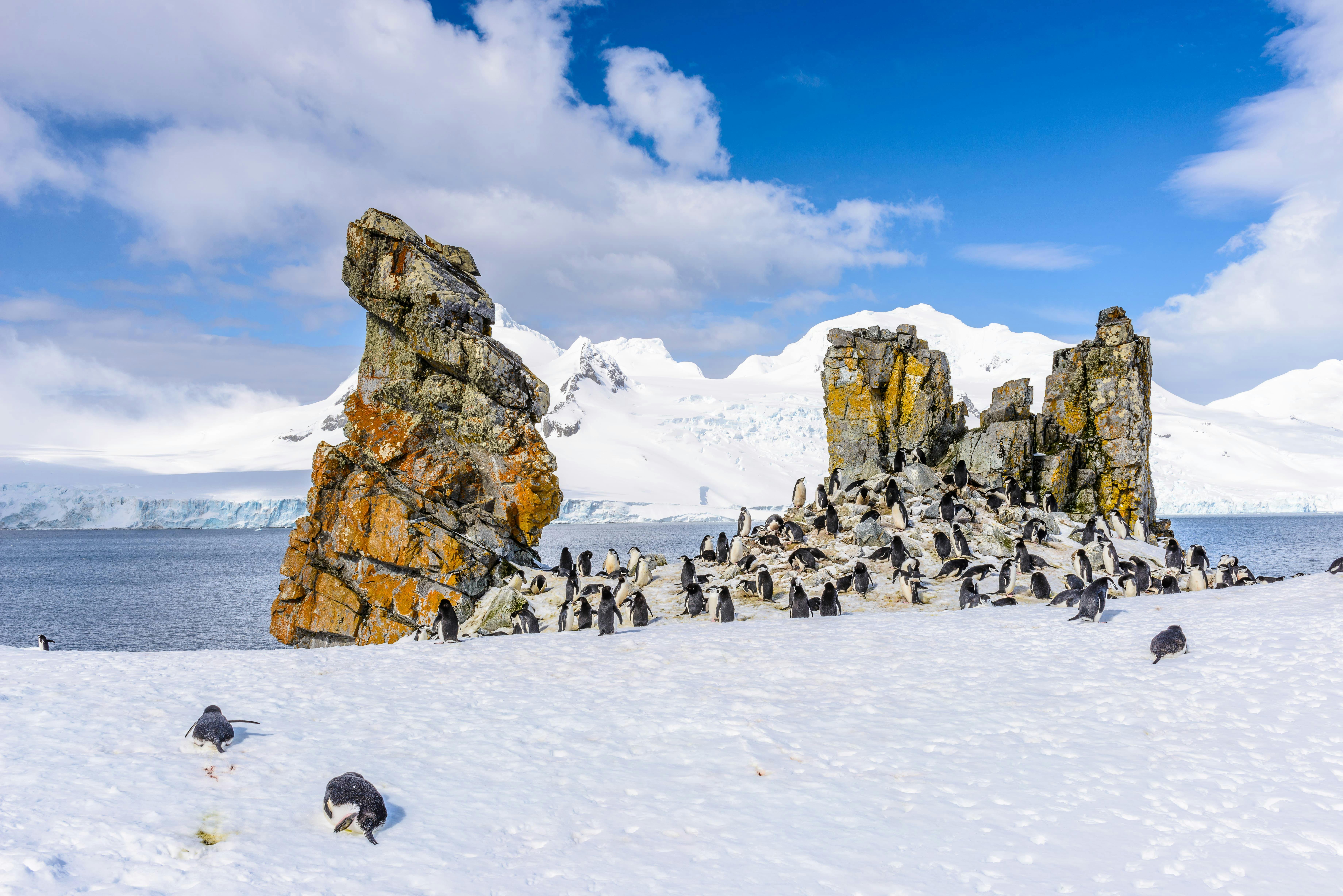 Antarctic Peninsula