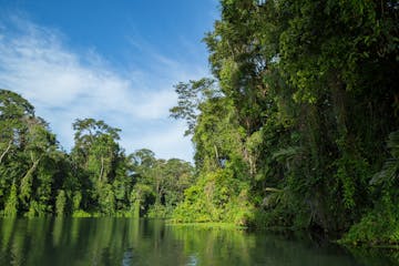 San Jose - Tortuguero 