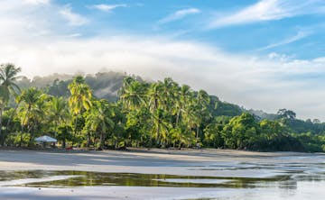 Monteverde - Manuel Antonio