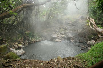 | Monteverde to Rincon de la Vieja 
