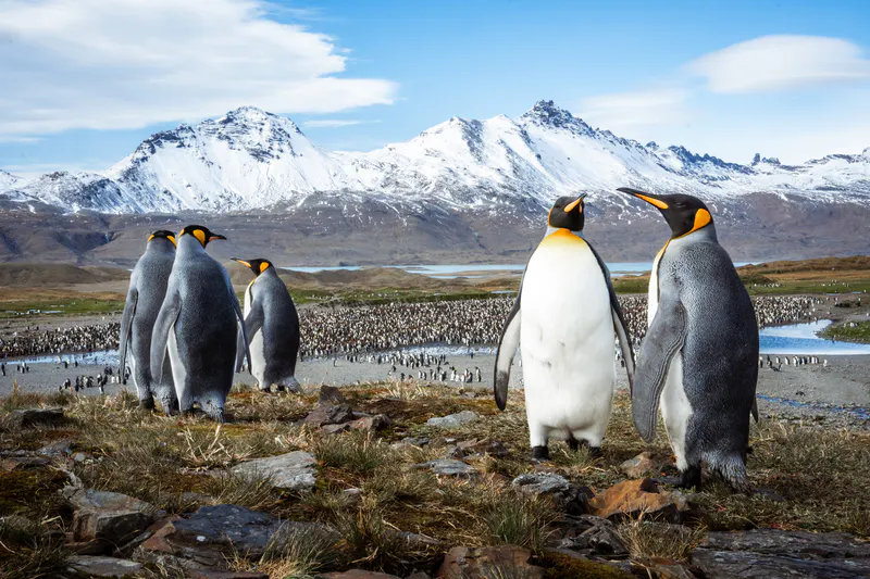Antarctic Peninsula In Depth image 1